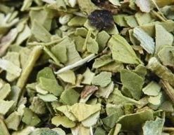 Maté vert