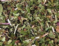 Verveine Menthe