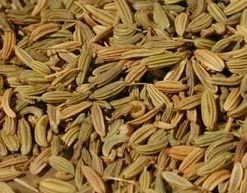 Fenouil graine