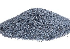 Pavot bleu